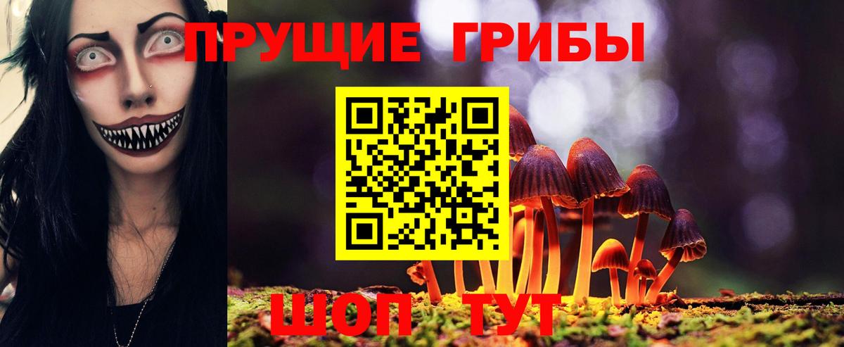 Выкса  Псилоцибиновые грибы Cubensis  где продают   Вход с VPN 